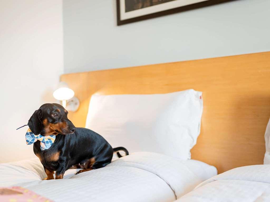 Ibis Jaipur City Centre - An Accor Brand Quarto foto